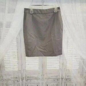 Ann Taylor Pencil Skirt